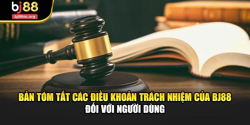 Bản tóm tắt các điều khoản trách nhiệm của BJ88 đối với người dùng