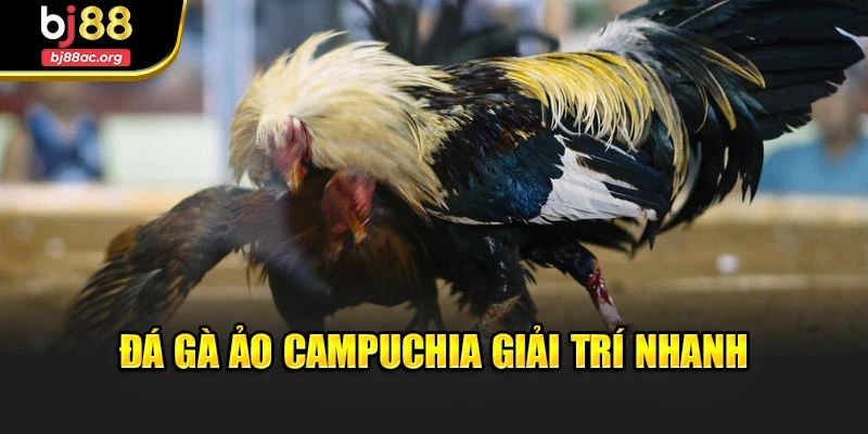 Đá gà ảo campuchia giải trí nhanh