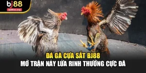 Đá Gà Cựa Sắt Bj88 – Mở Trận Nảy Lửa Rinh Thưởng Cực Đã