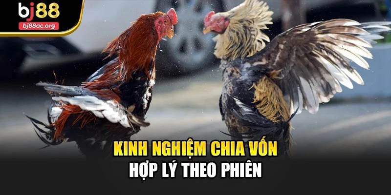 Kinh nghiệm chia vốn hợp lý theo phiên