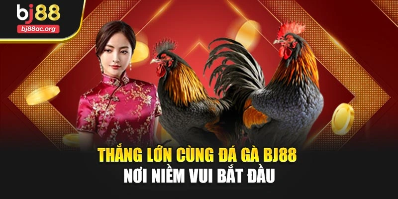 Thắng lớn cùng Đá gà BJ88 – Nơi niềm vui bắt đầu