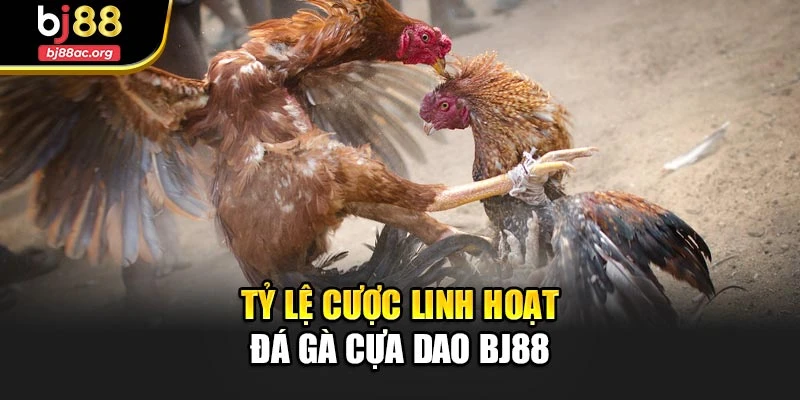 Tỷ lệ cược linh hoạt Đá gà cựa dao Bj88
