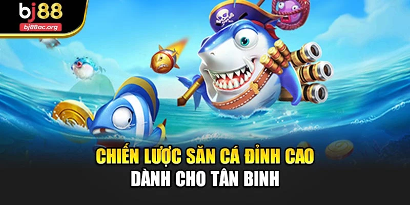 Chiến lược săn cá đỉnh cao dành cho tân binh